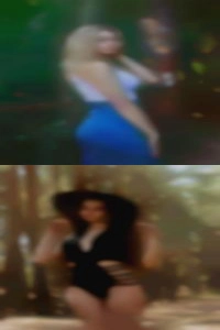 MIXEDLxfox2